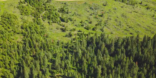 Image 4: DJI_20260523094427_0152_D