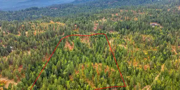 Image 2: 4_carrcreek_0293 copy 2