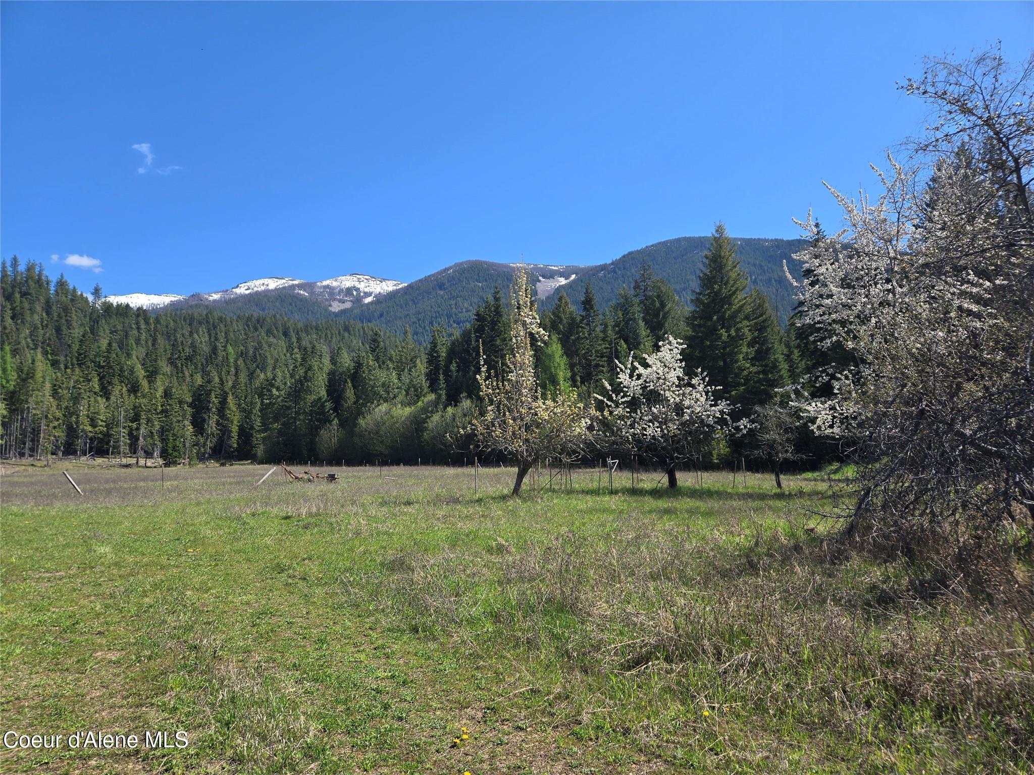 Image 1: Pasture with mountain