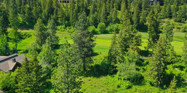 Image 2: 0.35 Acre Parcel