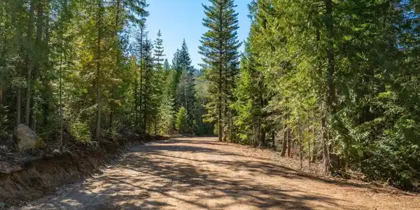 Image 3: Well built private road