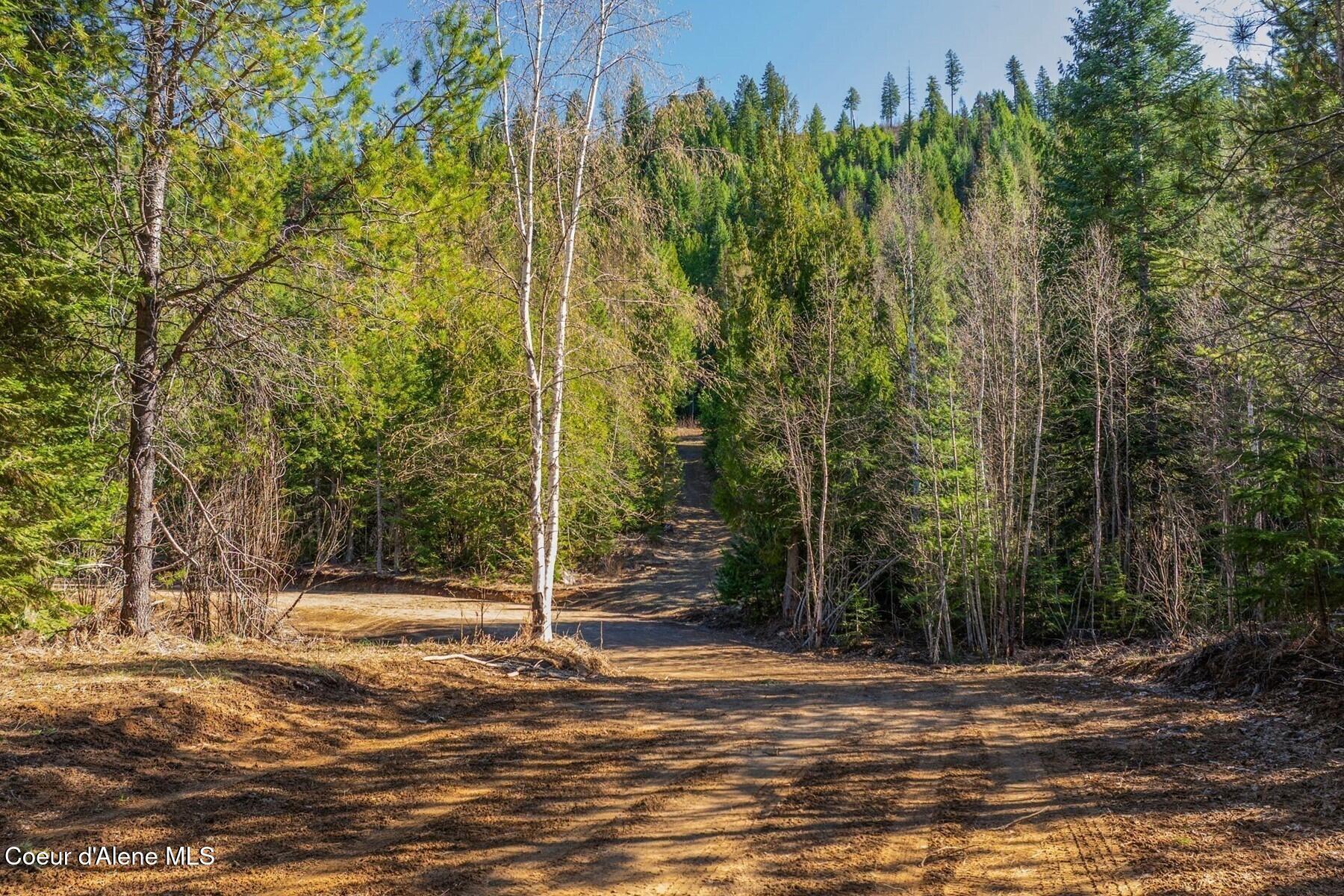 Image 3: End of road privacy