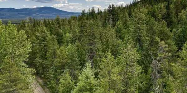 NNA 8.45 Acres Hoo Doo Mountain Rd