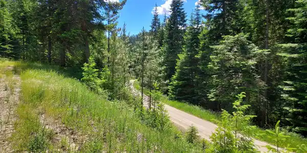 Image 3: Sled Road