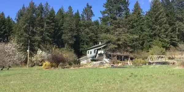 Image 4: 4