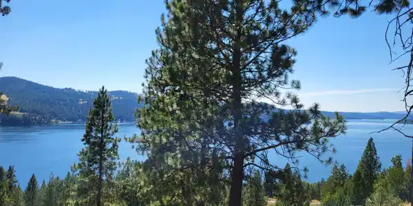Image 2: 20260715_154701