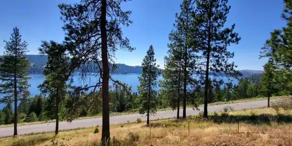 Image 4: 20260715_154819