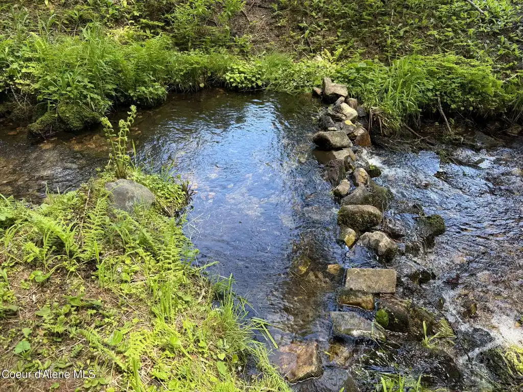 Image 1: Creek