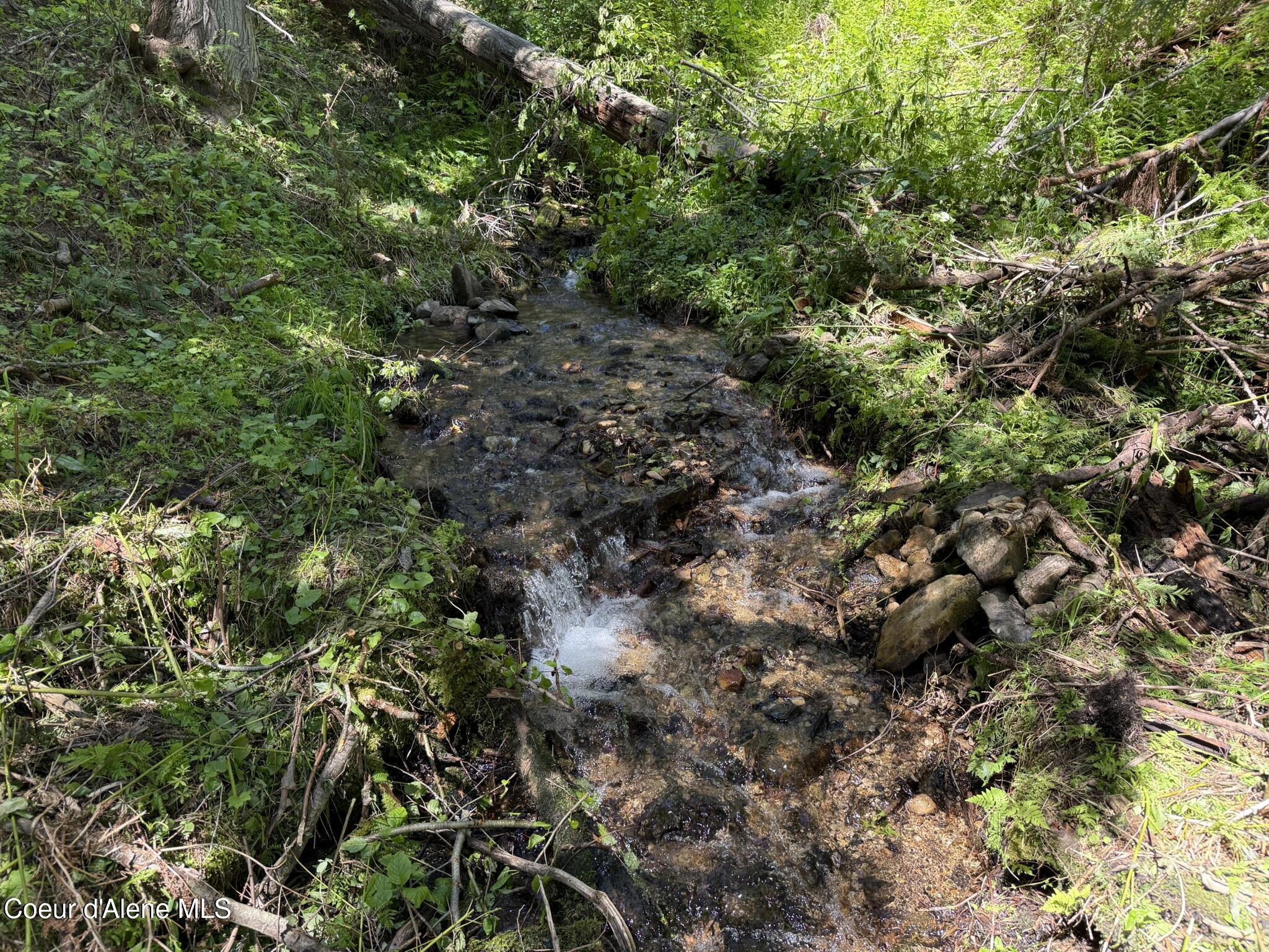 Image 2: IMG_8134
