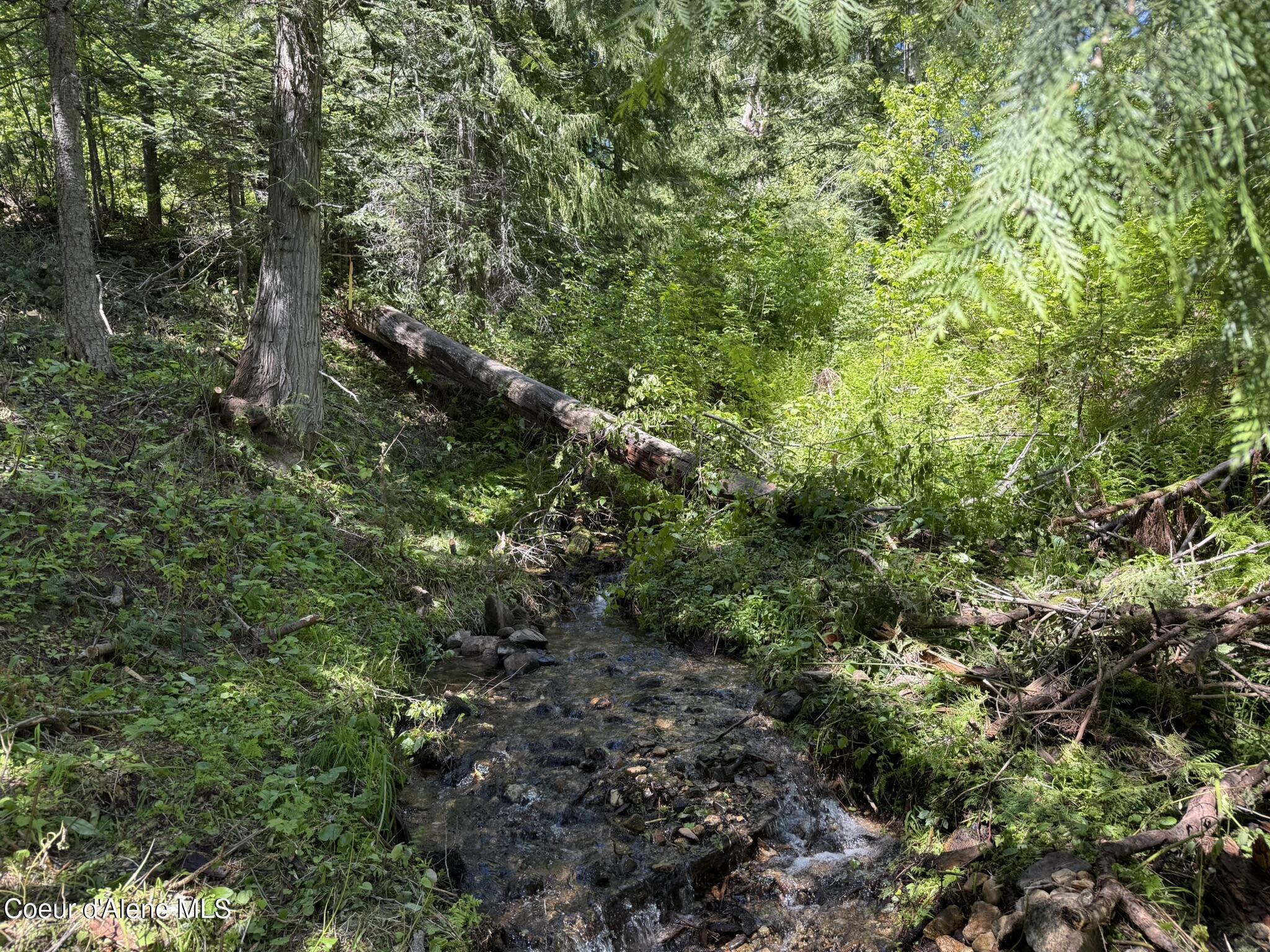 Image 3: IMG_8135