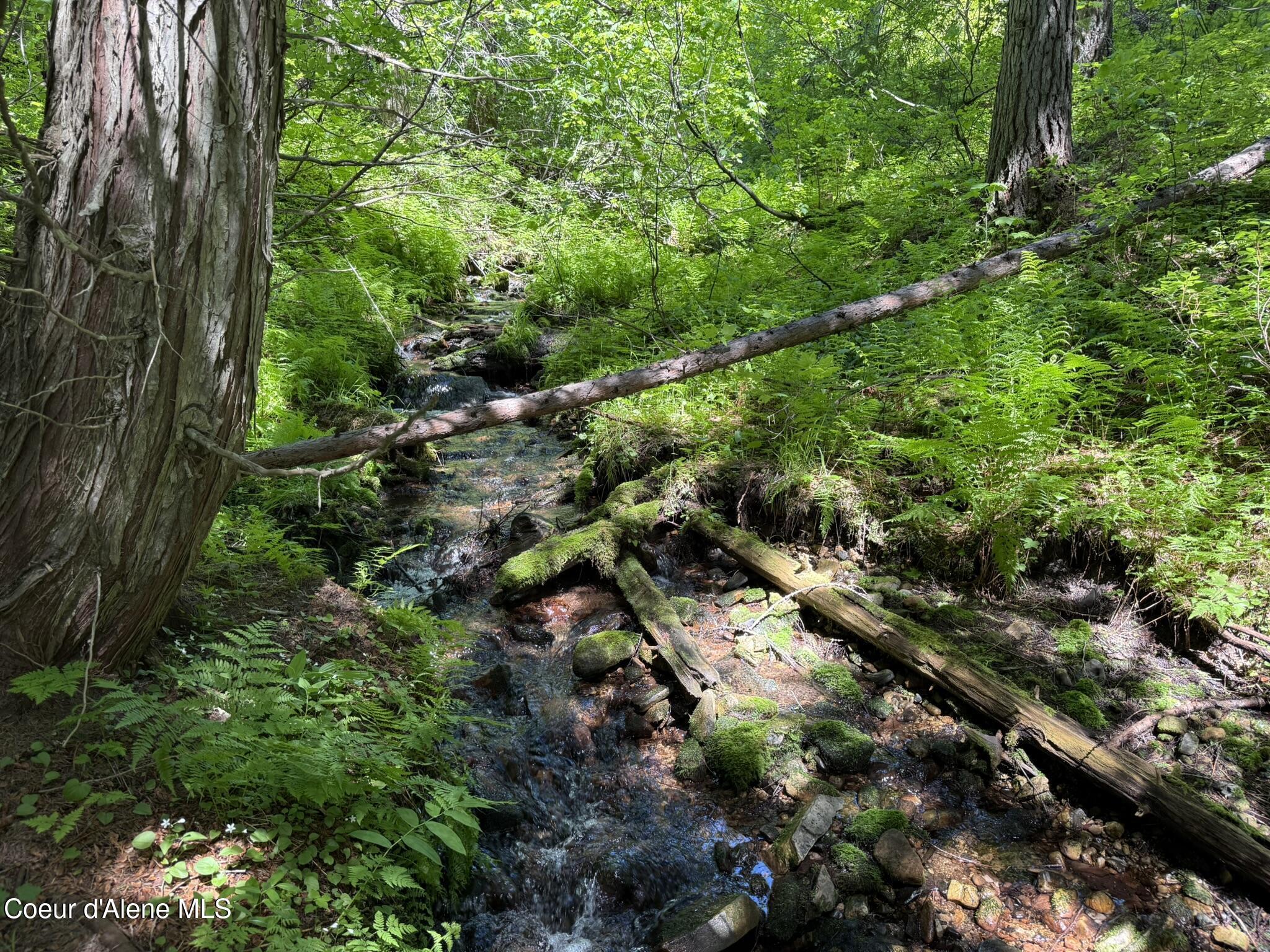 Image 4: IMG_8139