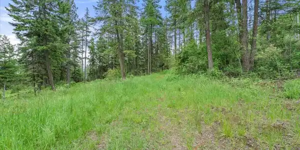 Image 3: Cleared Area