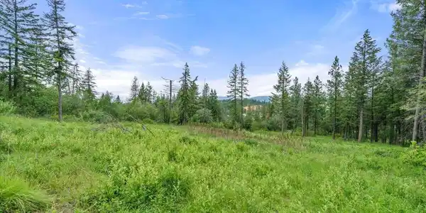 Image 4: Cleared Area