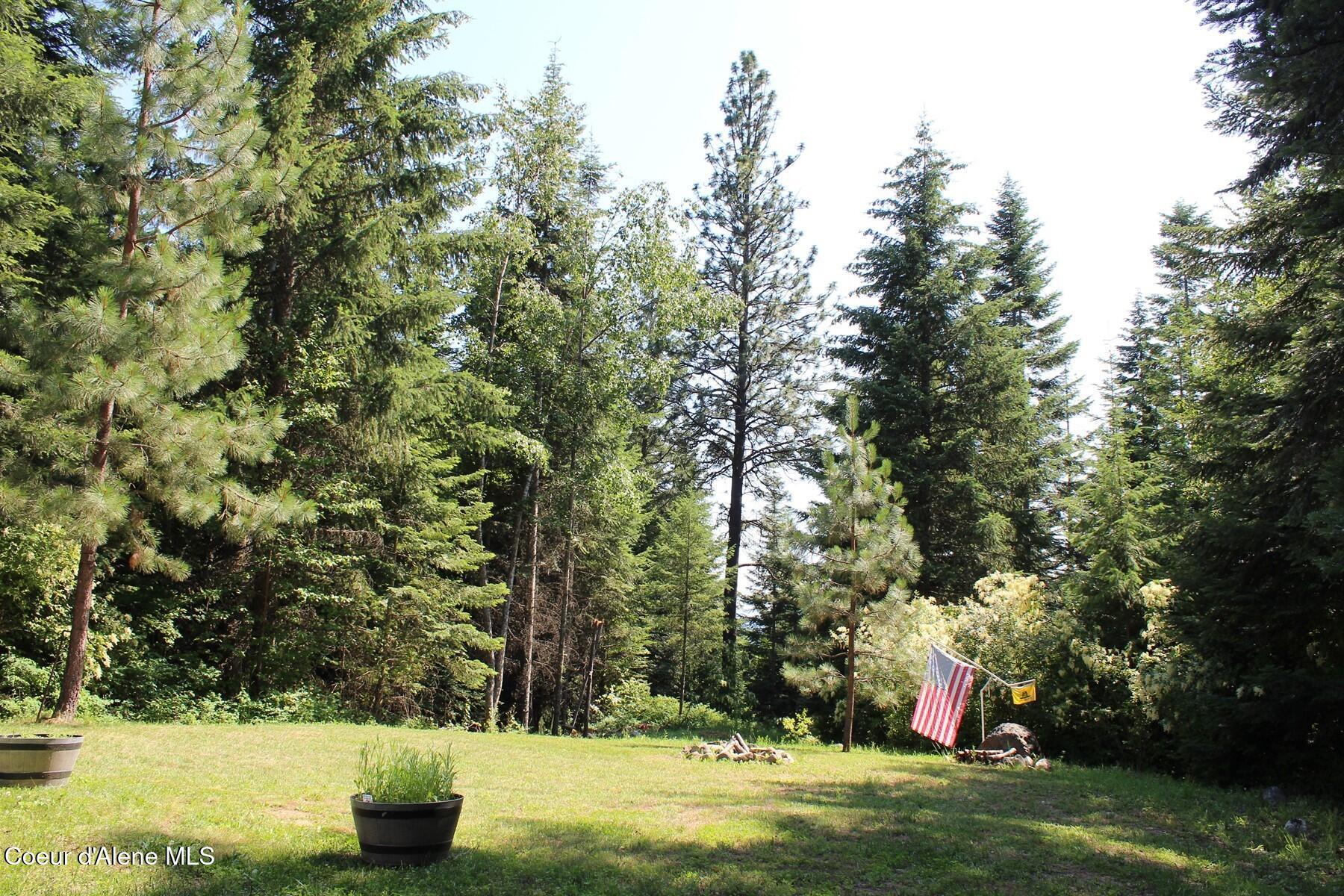 Image 3: Lawn and Southern View