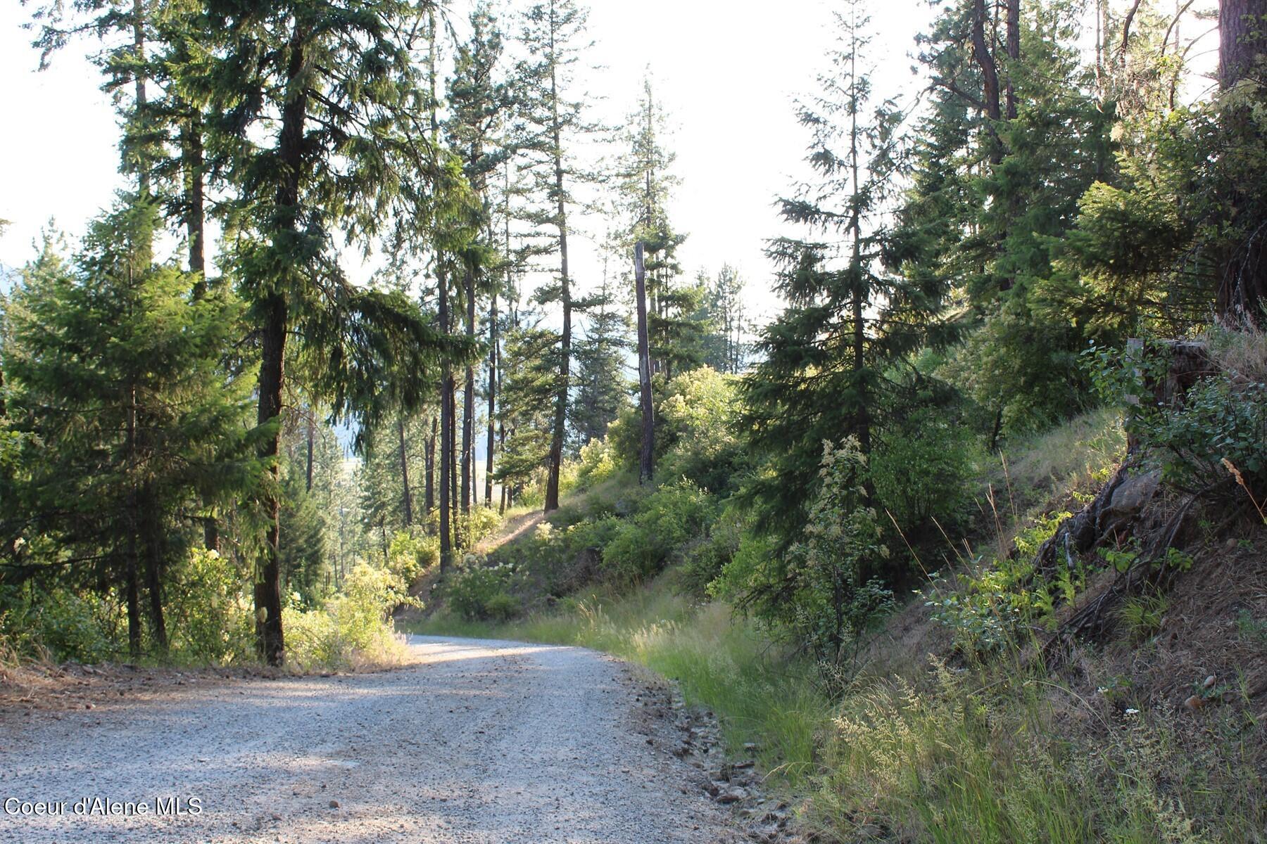 Image 4: Gold Cup Road