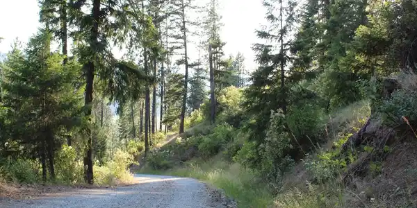 Image 4: Gold Cup Road
