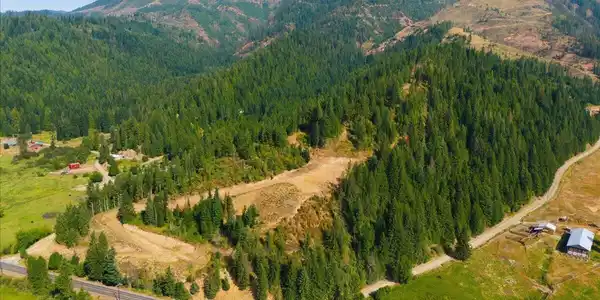 Image 3: 44.7 gorgeous acres