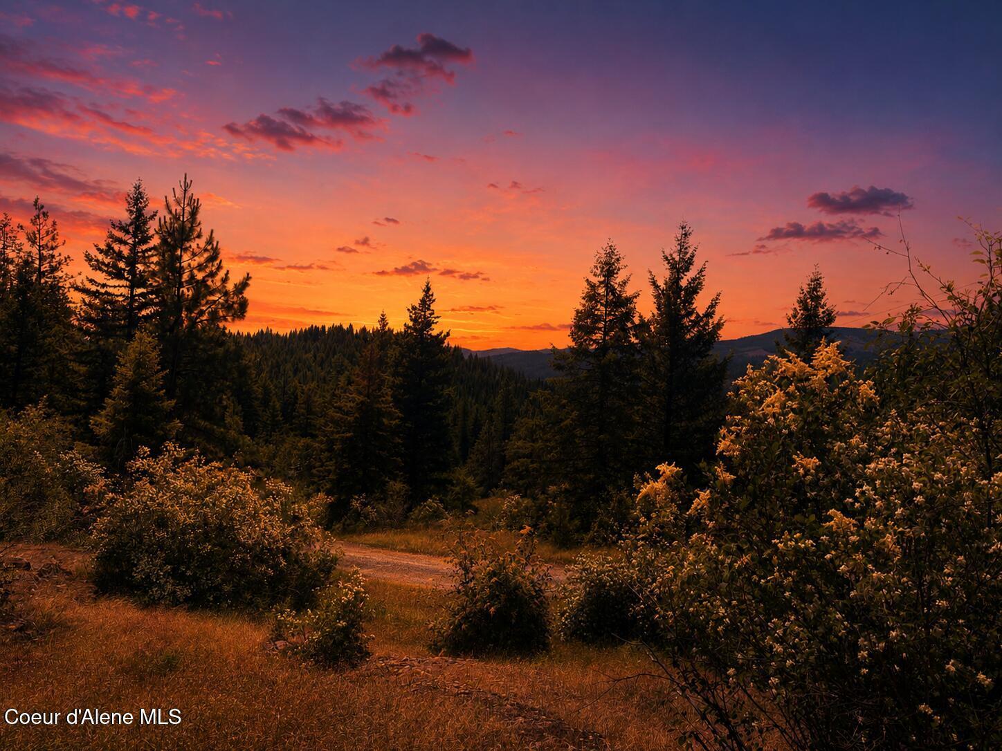 Image 1: Twilight