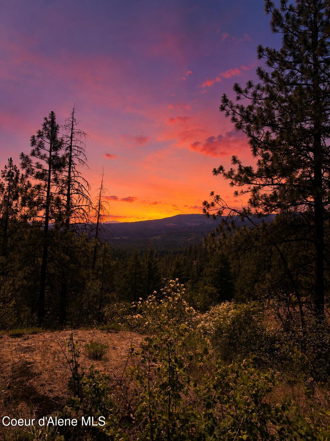 Image 2: Twilight
