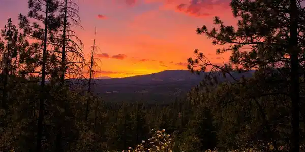 Image 2: Twilight