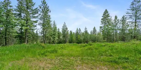 Image 2: Cleared Area