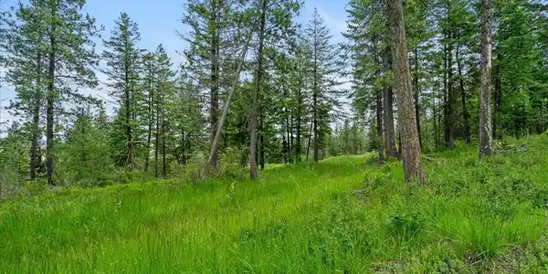 Image 4: Cleared Area