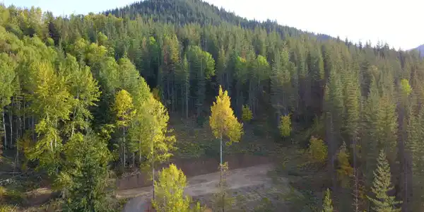 Image 2: 2
