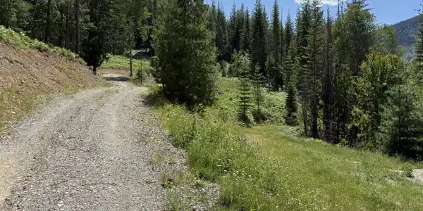 Image 3: 3