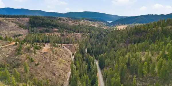 Image 2: 8_dji_0149
