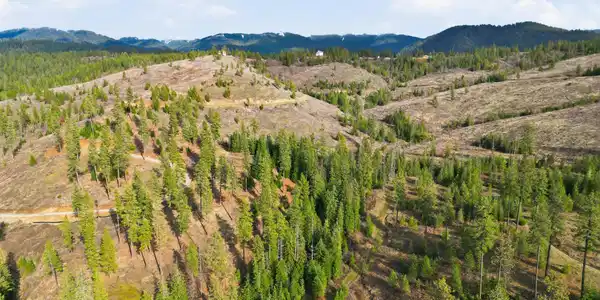 Image 3: 13_dji_0164