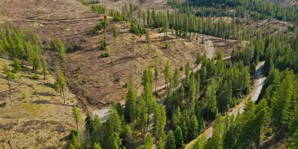 Image 4: 16_dji_0137