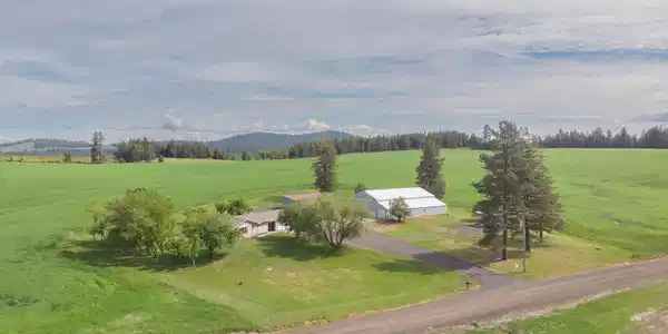 Image 3: DJI_0244