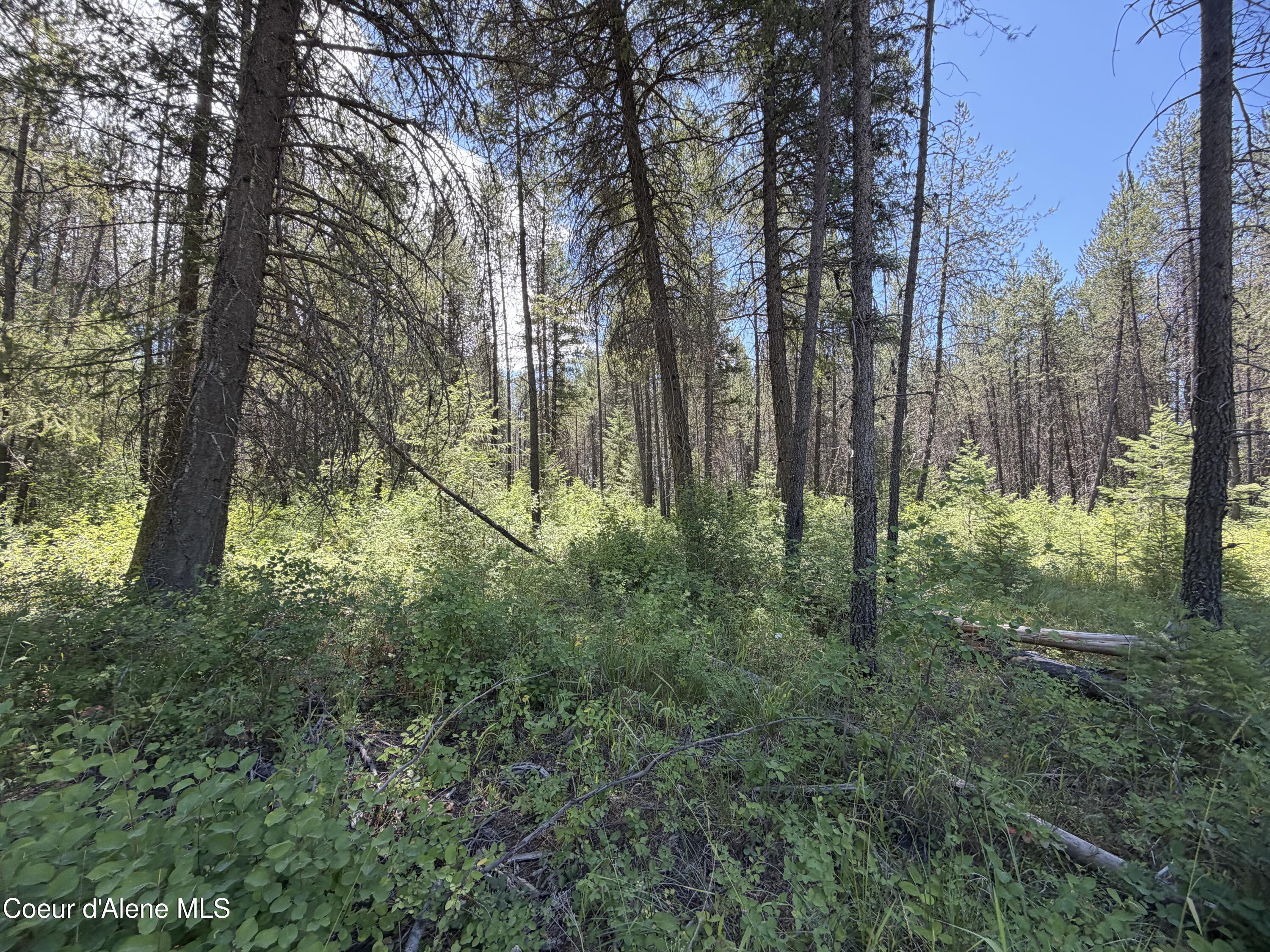 Image 1: Property