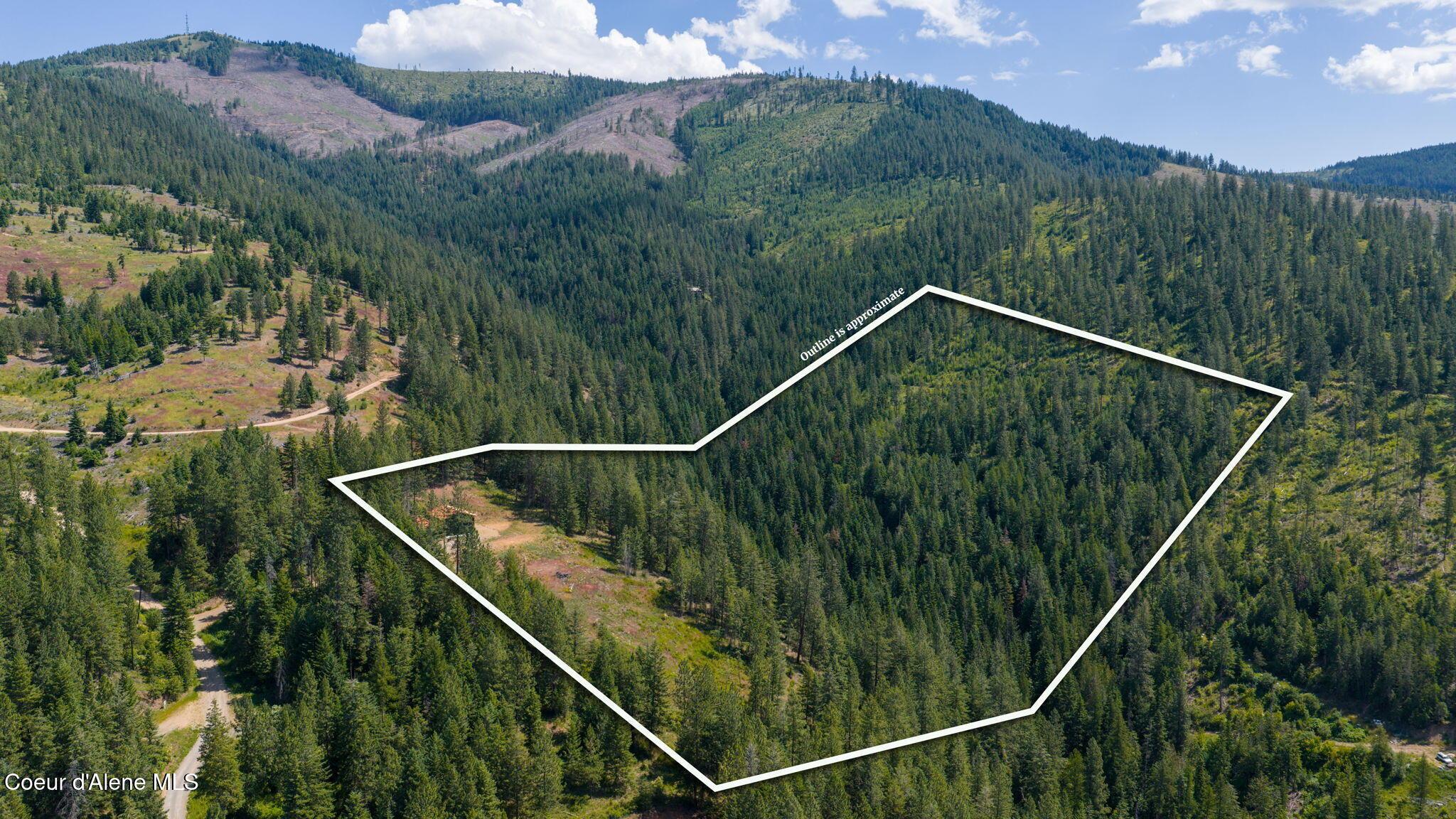 Image 2: 1-web-or-mls-DJI_20260625110719_0006_D o