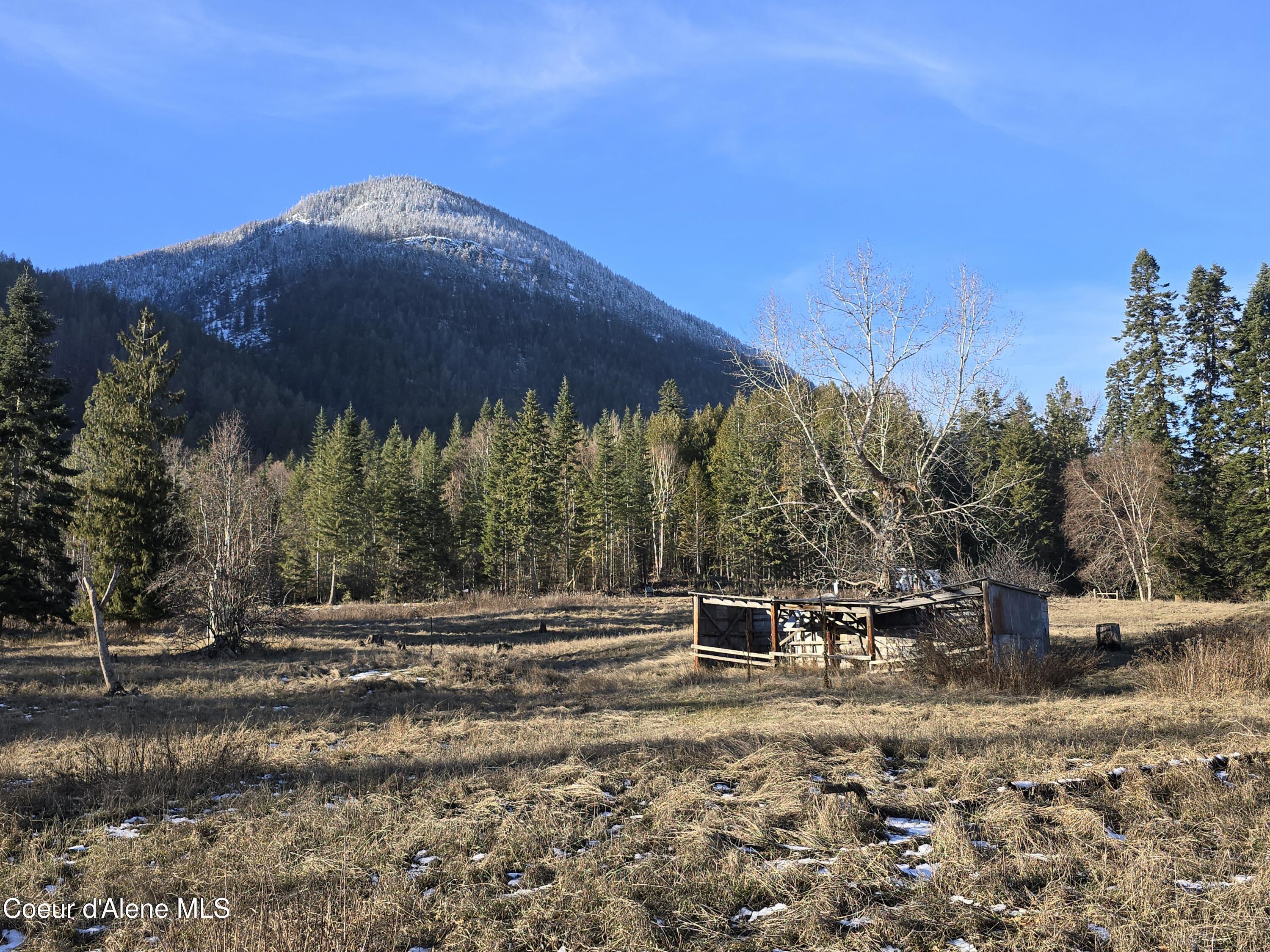 Image 2: 011