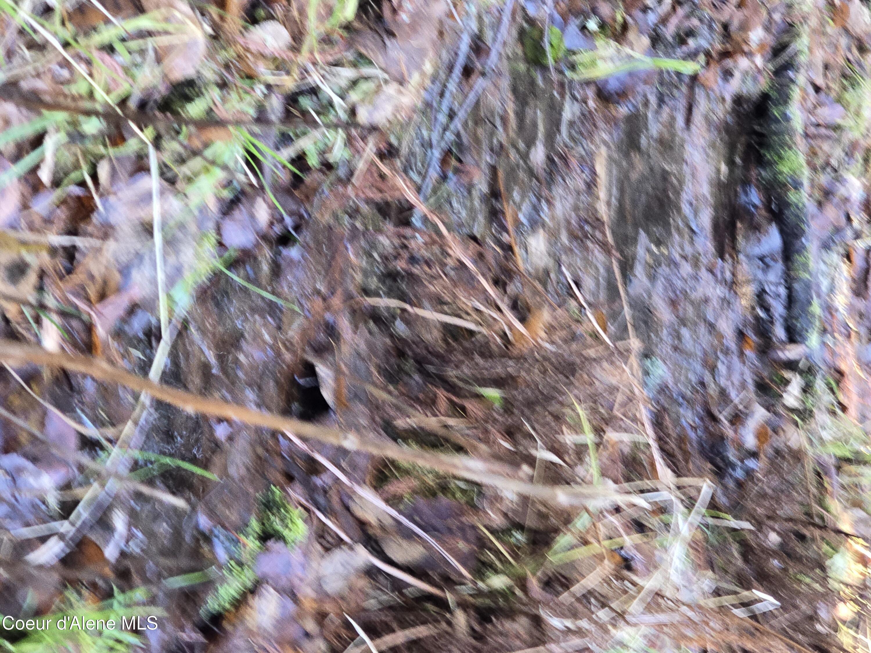 Image 3: 009