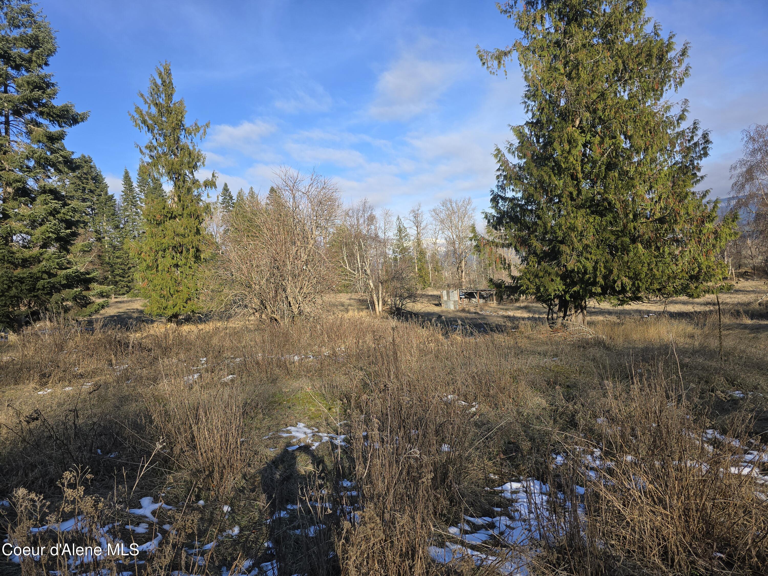 Image 4: 007