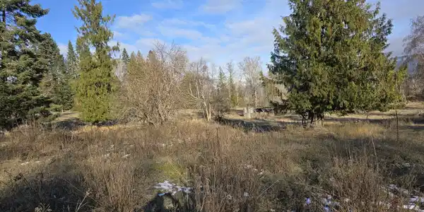 Image 4: 007