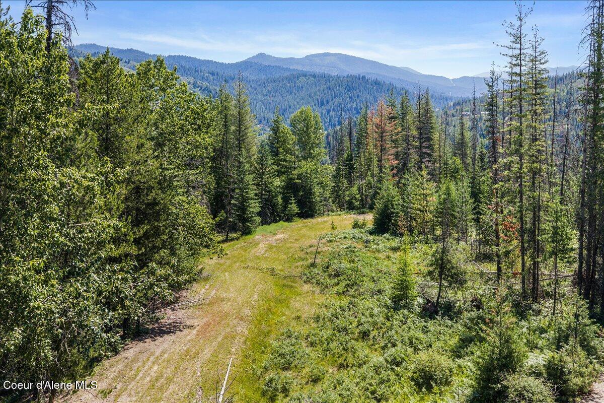 Image 2: 01-DJI_20260707105514_0724_D