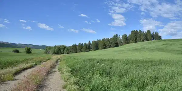 NNA Sanders Rd