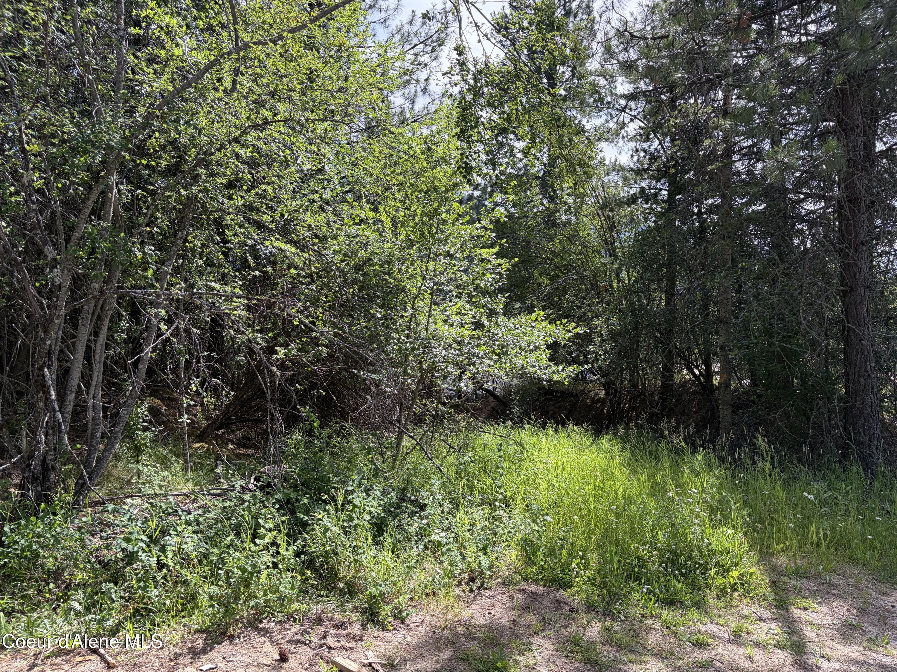 Image 4: 4