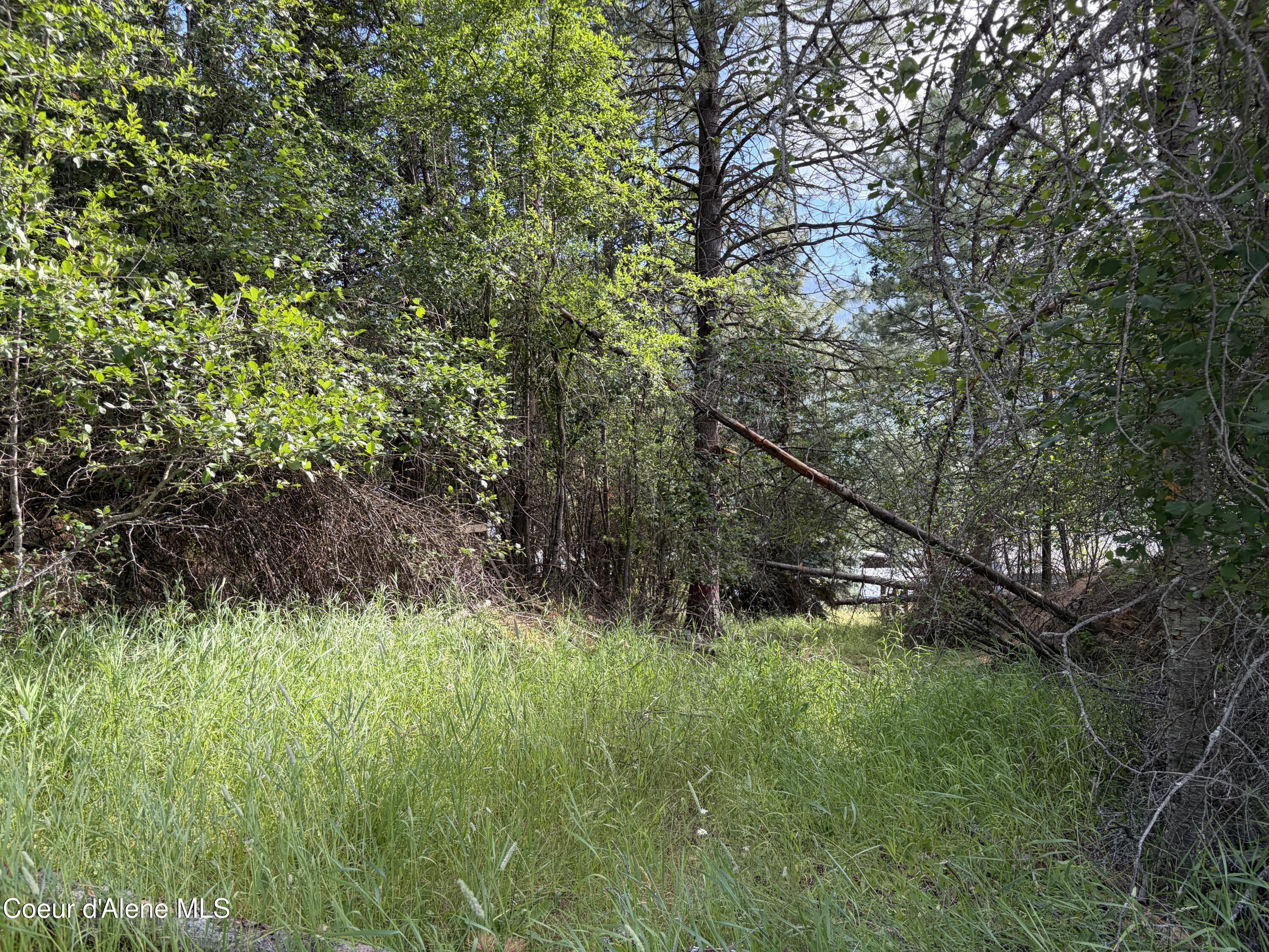 Image 3: 3