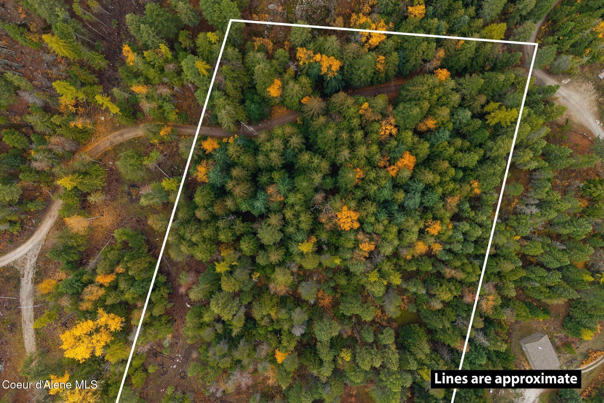 Image 2: Treed Property