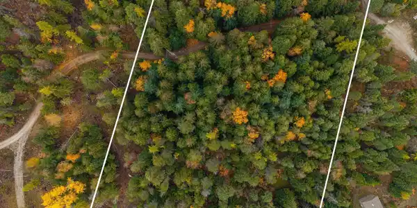 Image 2: Treed Property