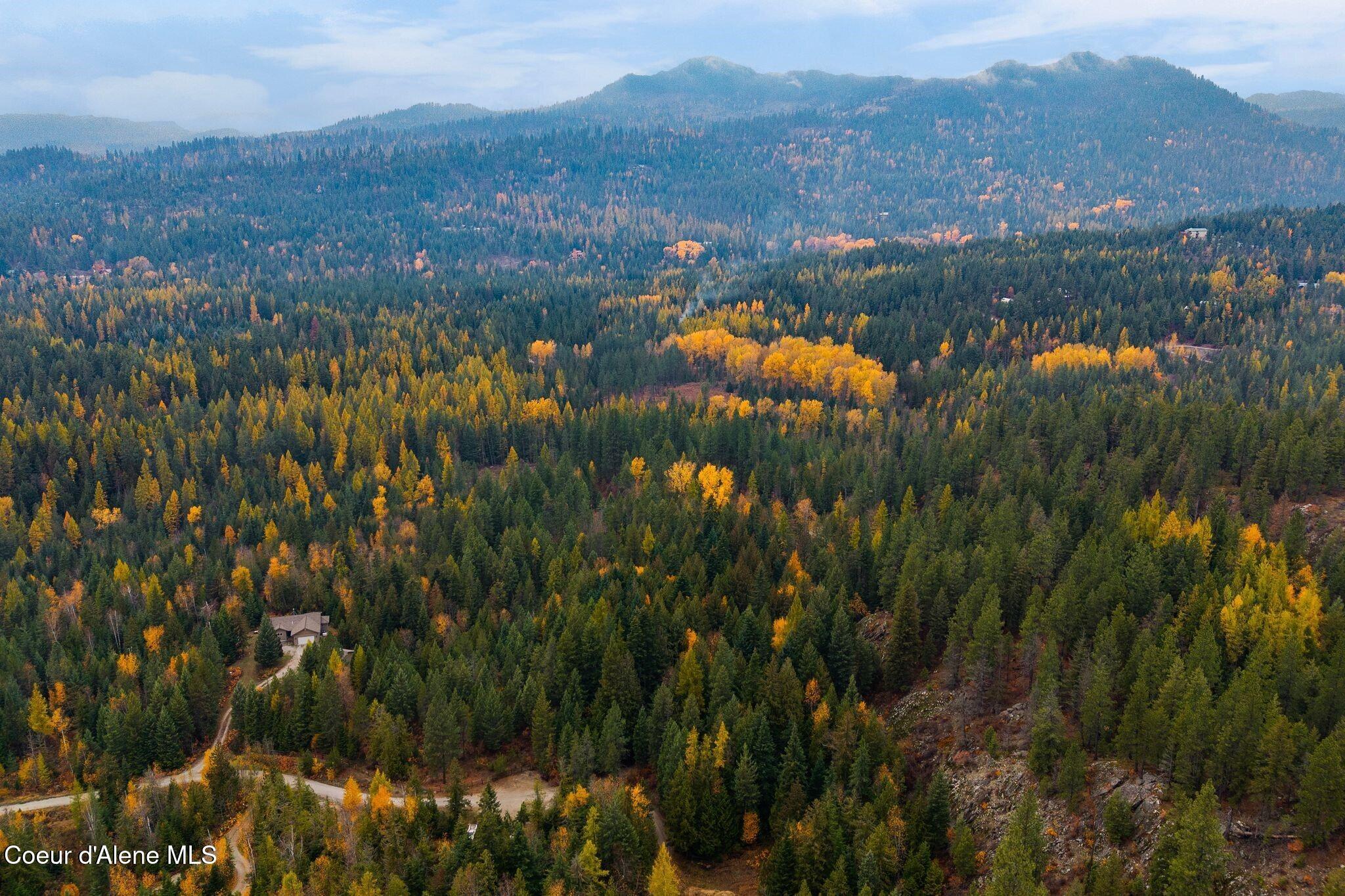Image 3: Ideal North Idaho Setting