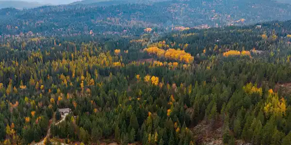 Image 3: Ideal North Idaho Setting