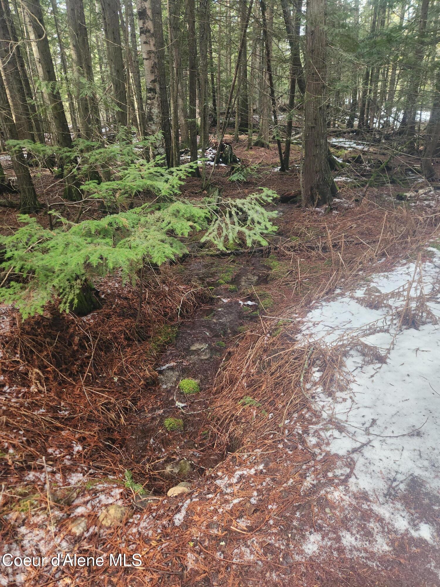 Image 4: 5 Creek