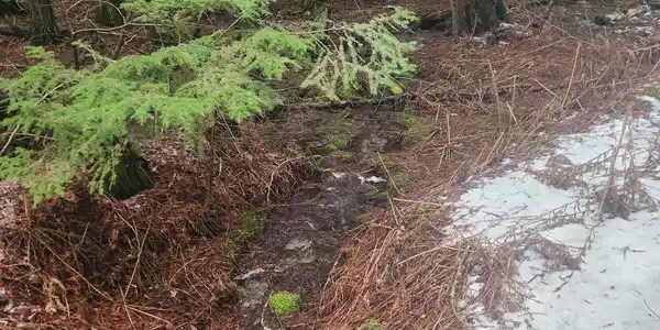 Image 4: 5 Creek