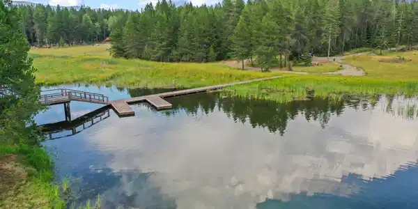 Image 4: 25-web-or-mls-380 Bishops Bay Ln Drone-2