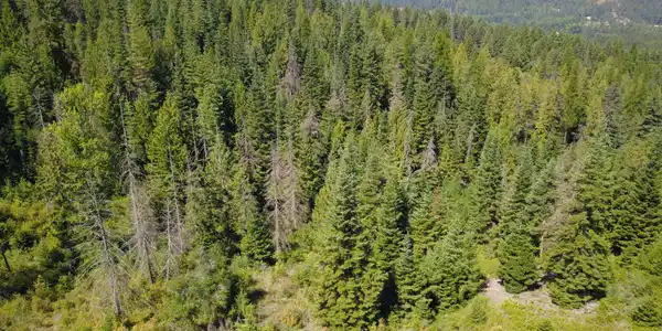 Image 4: 4